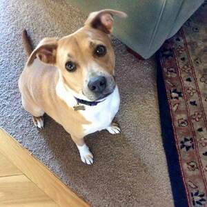 Fundraising Page: Kristin  Grieshaber